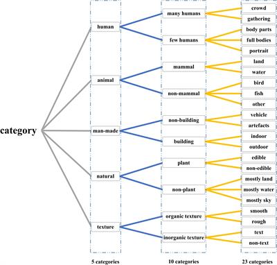 Category Decoding of Visual Stimuli From Human Brain Activity Using a Bidirectional Recurrent Neural Network to Simulate Bidirectional Information Flows in Human Visual Cortices